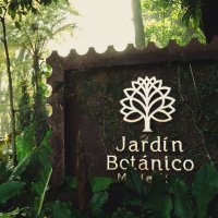 Jardín Botánico de Medellín (@jbotanicomed) 's Twitter Profile Photo Jardín Botánico de Medellín (@jbotanicomed) 's Twitter Profile Photo