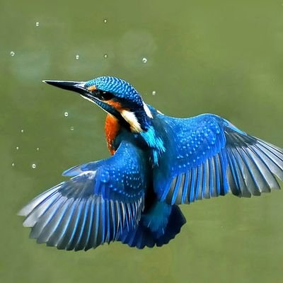 SopeAlade's profile picture. 