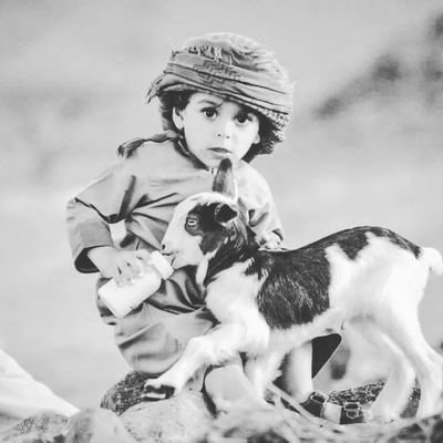 GGUL543's profile picture. 