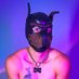 Pua 🐕 (@pua_thedawg) Twitter profile photo Pua 🐕 (@pua_thedawg) Twitter profile photo