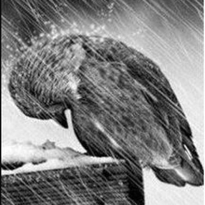 Babs3691970's profile picture. 