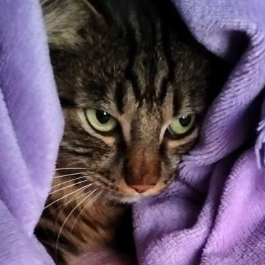 aendy_ss's profile picture. 🇺🇦