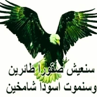 3455galalmwlfe's profile picture. كن في الدنيا كانك غريب او عابر سبيل