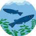The Aqua Escapes (@theaquaescapes) Twitter profile photo The Aqua Escapes (@theaquaescapes) Twitter profile photo