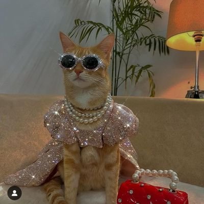 ktea007's profile picture. 