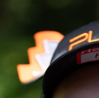 thisOrangeFox's profile picture. Petit pup