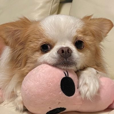 agtm71's profile picture. ONEWE😘 #onewe