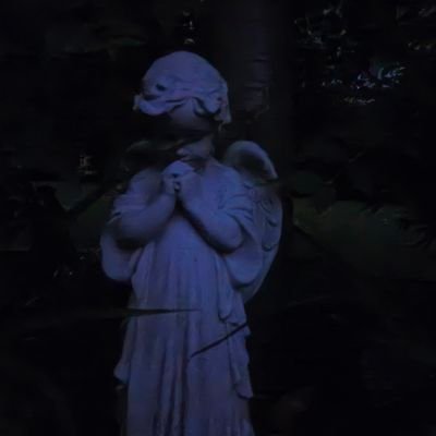 crowswingshalos's profile picture. 