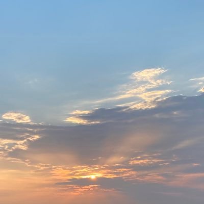 motokodeeesu's profile picture. 関東在住🏠