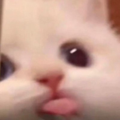 ayadrants's profile picture. idk