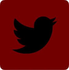 NChile55691's profile picture. 