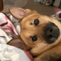 Bei (@bei0903) 's Twitter Profile