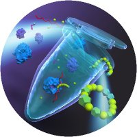 生物化学研究室(後藤研): Goto ChemBiol Lab, Kyoto Univ. (@510lab) 's Twitter Profile Photo 生物化学研究室(後藤研): Goto ChemBiol Lab, Kyoto Univ. (@510lab) 's Twitter Profile Photo