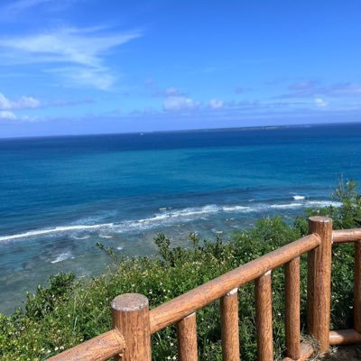 f0_announ's profile picture. 副業フーデリ配達始めました(2025.5月〜)/ 🐸メインの🥫も少々/ 10分で電池がなくなる電動自転車で稼働中 / 主な出没エリア:品川区・港区・中央区・大田区