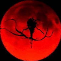 Typhonyx (@typho_was_taken) 's Twitter Profile