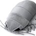 insaneisopod (@general_ulysse) Twitter profile photo insaneisopod (@general_ulysse) Twitter profile photo