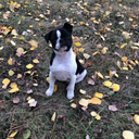 Lucas Gray - @Gray197199 - Twitter