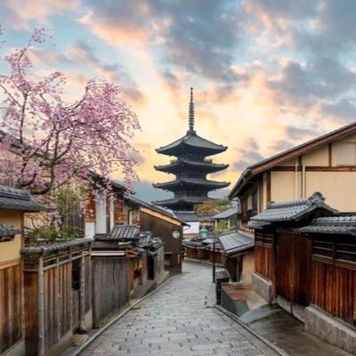 DeniseKrys3068's profile picture. 