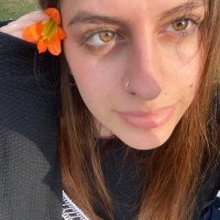 arita (@arihhegi) 's Twitter Profile