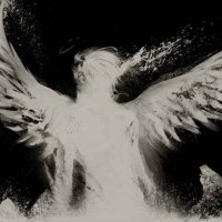 jsk1ng (@jsk1ng) 's Twitter Profile