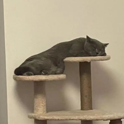 yangdi202410's profile picture. 