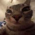 b (@ceoofedging) Twitter profile photo b (@ceoofedging) Twitter profile photo