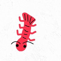 shrimp (@ebinoooosushiii) 's Twitter Profile