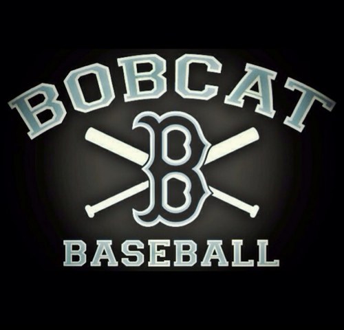 SVHSBaseball's profile picture. 