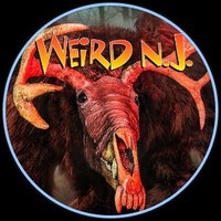 Weird NJ (@weirdnj) 's Twitter Profile Photo Weird NJ (@weirdnj) 's Twitter Profile Photo