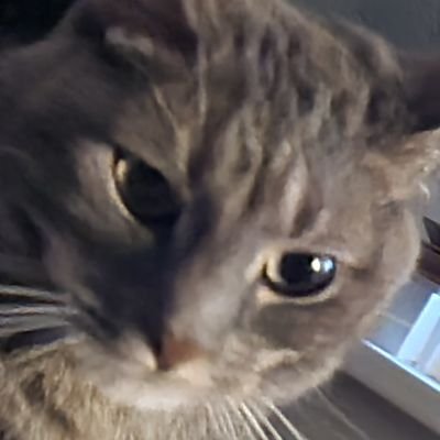 figtrash's profile picture. 28yo. non-binary. they/she/he. no brain cells.