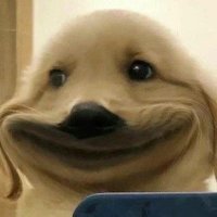 ด้อนโนวเรียกสั้นๆว่าด้อนโนวโน่วโน้วโน๊วโน๋ว🐶🍼 (@_dontdont_) 's Twitter Profile