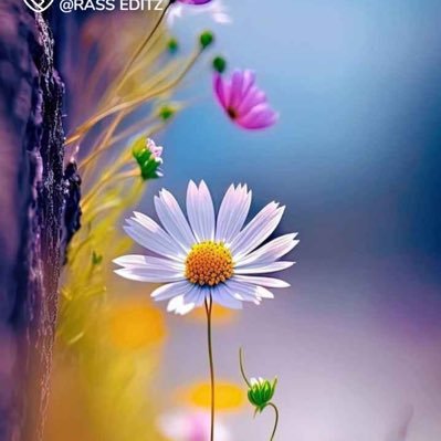 சங்கி !! Central = Lotus : Tamil nadu state = NOTA