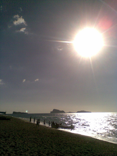 greatcinema's profile picture. Notes from The Great Cinema Party