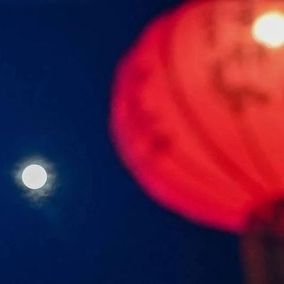 tjmrxbxd's profile picture. 分享美好，传播正能量！（互FO必回！🇨🇳）