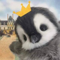 Yumm (@wangziyang13663) 's Twitter Profile