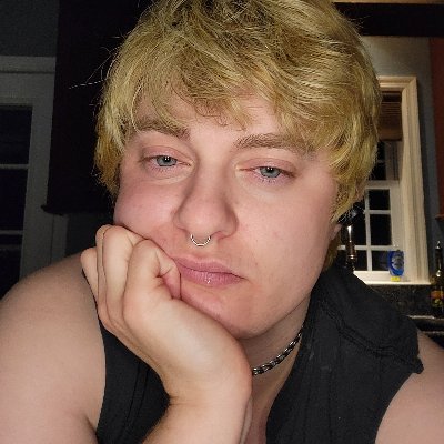 morgue/broderick
FTM trans guy, 29
viral mitigation, cybersec, internet history, conspiracy/disease tracking, writing, comics, etc.
maker + performance artist