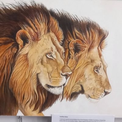 adriaan_bresler's profile picture. Saved by Grace, Trust in God, father, husband, proud US citizen, proud South African.