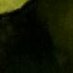 !!!! (@joescucci) Twitter profile photo !!!! (@joescucci) Twitter profile photo