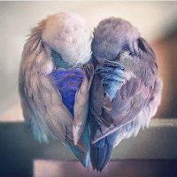 KSA (@ksa12180921) 's Twitter Profile Photo KSA (@ksa12180921) 's Twitter Profile Photo