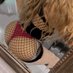 Femboy Bottom For Straight Dudes DL 🇺🇸🇲🇽 (@bichotabigcake) Twitter profile photo Femboy Bottom For Straight Dudes DL 🇺🇸🇲🇽 (@bichotabigcake) Twitter profile photo
