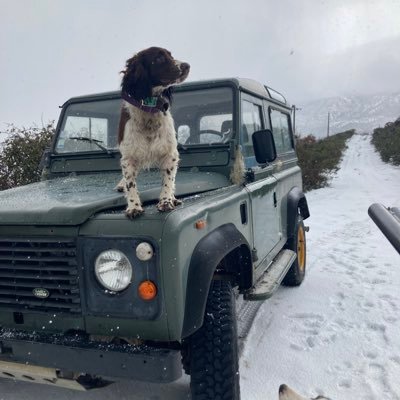 DumeRenucci's profile picture. 