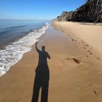 Joe brown (@brown_joe60090) 's Twitter Profile