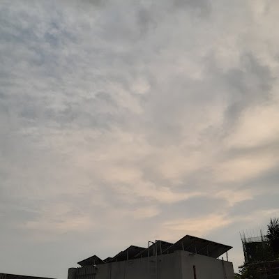 TTithe1716's profile picture. 