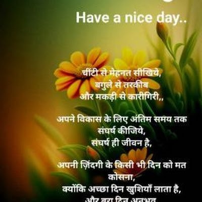 CompitionC91130's profile picture. 