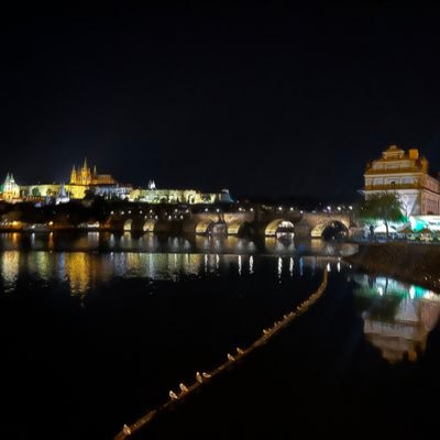 SiltechSarnecki's profile picture. 