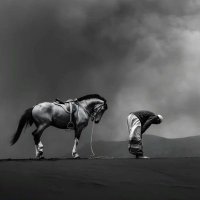 LuqmanelHakim لقمان الحكيم (@luqmanelhakem) 's Twitter Profile