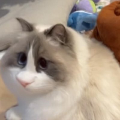 Dkx1219's profile picture. 