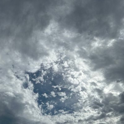 NDThefwei's profile picture. 