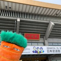 透明なねこ (@toumeina_neko) 's Twitter Profile