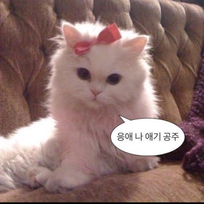 a_aya0403's profile picture. 💭00’’ 🍈